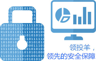 領投羊網站開發費用過百萬 聚焦網絡與信息安全軟件開發